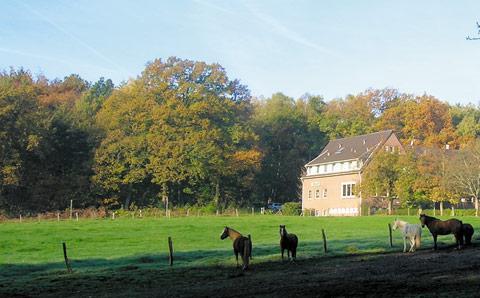 Forsthaus Schontal Hotel Aachen Bagian luar foto